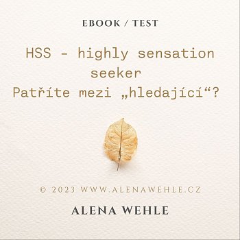 HSS seeking test – hledači vysokých prožitků
