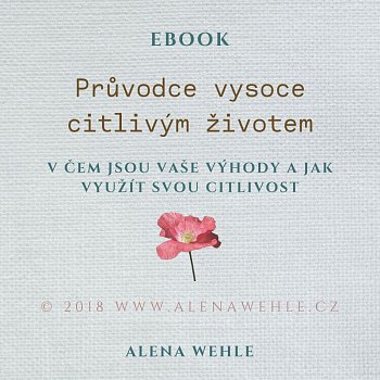 Průvodce vysoce citlivým životem
